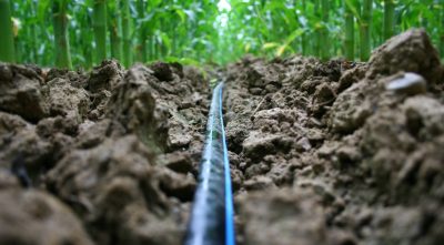 کاربرد لوله پلی اتیلن در کشاورزی